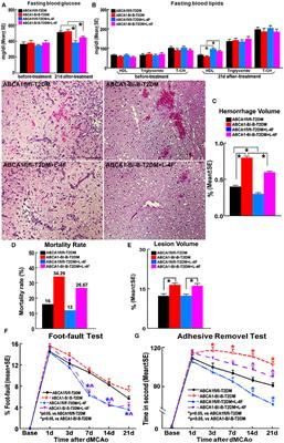 Post-Stroke Administration of L-4F Promotes Neurovascular and White Matter Remodeling in Type-2 Diabetic Stroke Mice